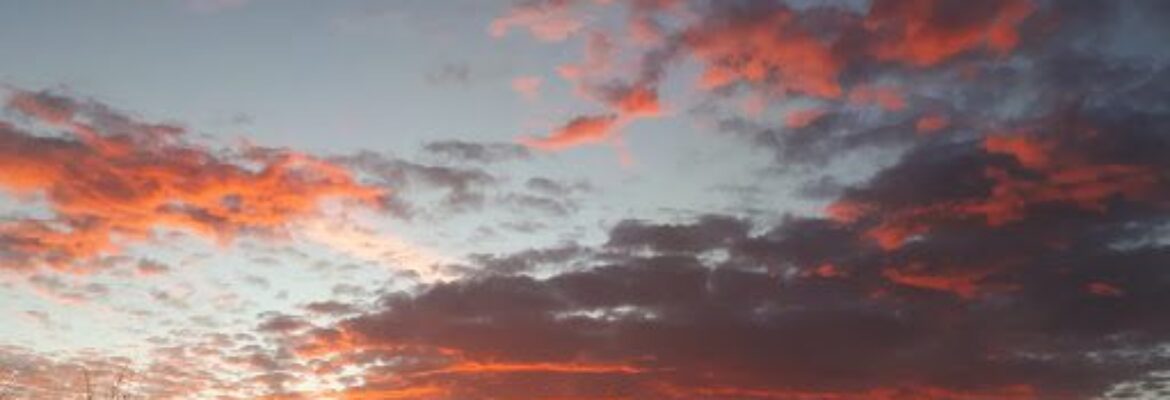 Kersbrook Equestrian Centre